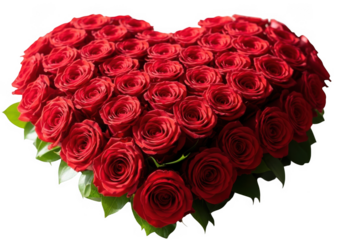 Abundant heart shaped bouquet of vibrant red roses isolated on transparent background
