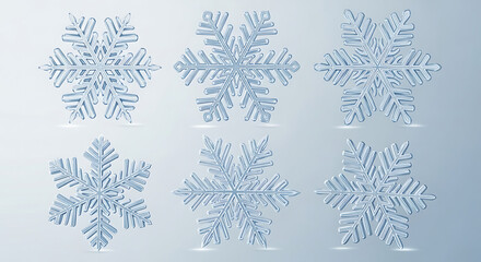 Collection of six detailed, realistic snowflakes with intricate crystalline structures on a soft blue gradient background
