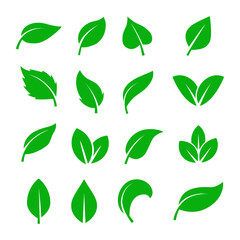 Leaf icon. Leaf icon set. Green leaf set.