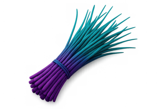 Chives bunch presenting a vibrant purple and turquoise gradient, bound together on a transparent background