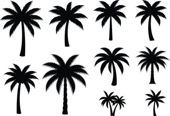 Palm Tree Silhouette Set – Stylized Black Tropical Trees in Varied Shapes and Frond Arrangements
