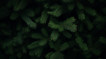 Lush Fir Tree Branches on a Moody, Dark Background. Natural texture concept for Christmas holiday designs, winter marketing campaigns, eco-friendly product packaging, or cozy seasonal backdrops.