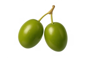 Fresh green olives on a branch stem, raw vibrant fruits for healthy mediterranean diet and pure virgin olive oil
