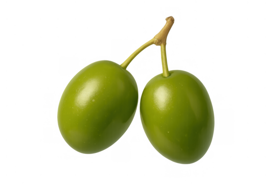Fresh green olives on a branch stem, raw vibrant fruits for healthy mediterranean diet and pure virgin olive oil