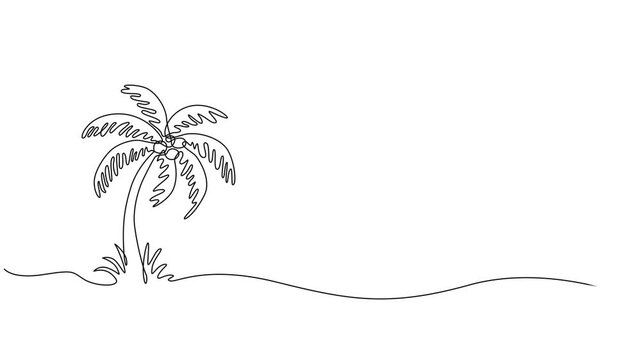 Animated self drawing of Coconut tree near the beach video illustration. Shady coconut trees to enjoy the beach atmosphere in simple linear style. Landscape and environment design concept for asset.