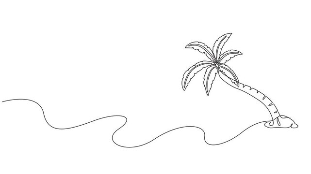 Animated self drawing of Coconut tree near the beach video illustration. Shady coconut trees to enjoy the beach atmosphere in simple linear style. Landscape and environment design concept for asset.