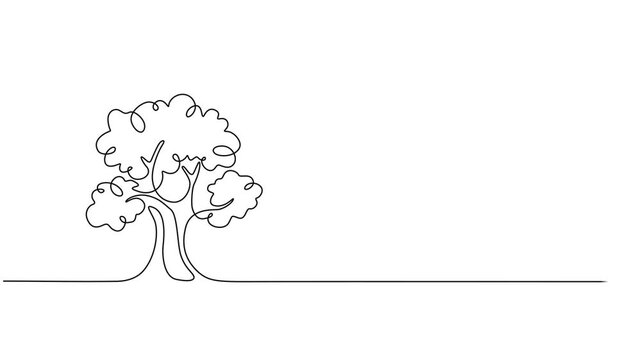 tree vector continuous one line drawing animation, Leaves continuous line drawing animated video. Plant branch one line art, Animated self drawing of continuous line draw plant and speech bubble.