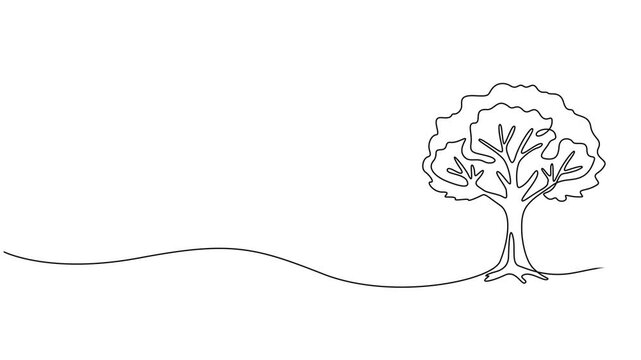 tree vector continuous one line drawing animation, Leaves continuous line drawing animated video. Plant branch one line art, Animated self drawing of continuous line draw plant and speech bubble.