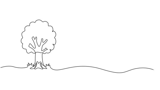 tree vector continuous one line drawing animation, Leaves continuous line drawing animated video. Plant branch one line art, Animated self drawing of continuous line draw plant and speech bubble.