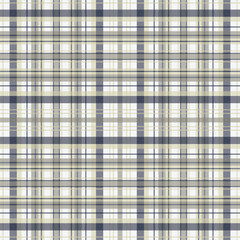 Tartan plaid pattern with texture.