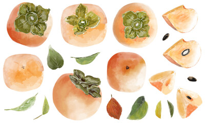 水彩風手描き柿のパーツ素材イラストセット