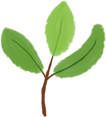 초록 나뭇잎 가지