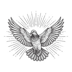 Obraz premium Flying Dove Bird Peace Sunburst Engraving Vector Illustration