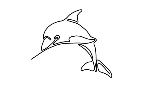 Continue line animation of jumping dolphin