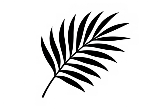 Black palm leaf silhouette creating tropical shadow effect, minimalist design vector illustration on transparent background - Powered by Adobe
