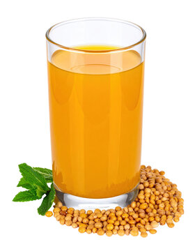 Traditional iranian khak shir seed drink, a healthy and cooling herbal beverage with a unique texture, captured isolated on a stark white background