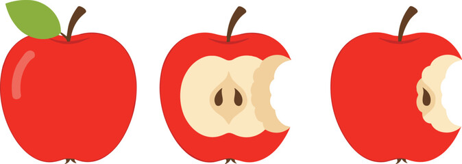 Apple eating progression vector, fruit consumption stages illustration, healthy food concept, cad drawing flat vector artwork for nutrition themes