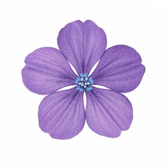 Fototapeta premium Vibrant purple five-petal flower with blue center, isolated image