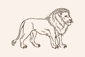 Lion Line Art Vector Illustration, Vintage Hand-Drawn Wild Animal Outline Design