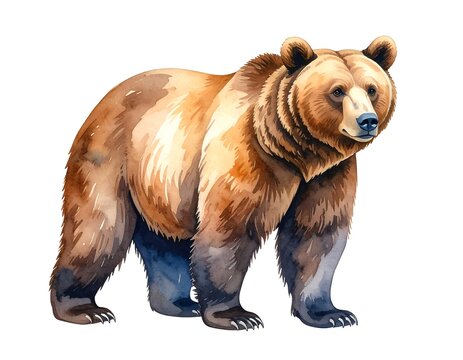 Watercolor painting of a large brown bear with shaded fur