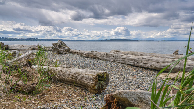 A scenic landscape of a rocky beach on the Puget Sound in Washington, with large, weathered driftwood logs in the foreground under a dramatic cloudy sky.
