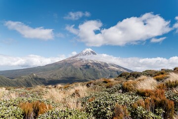 Obraz premium Mount Taranaki Peak from Pouakai Track, Egmont National Park, New Zealand