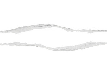 Two torn paper strips with rough edges isolated on transparent background, representing separation or division