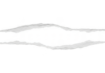 Two torn paper strips with rough edges isolated on transparent background, representing separation or division