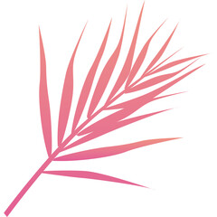 A Pink Gradient Palm Leaf Silhouette Isolated on a Transparent Background With Delicate Fronds and a Faint Gradient From Magenta To Orange