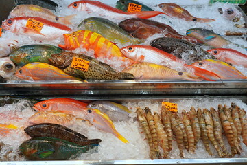 沖縄公設市場　鮮魚