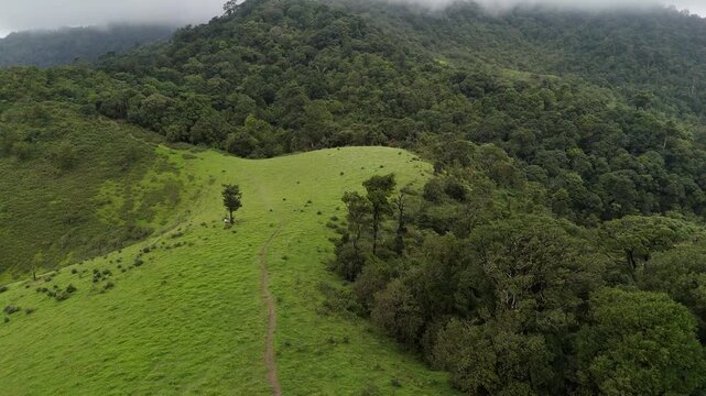 Beautiful rolling hills of native grasses and trees during a drought with clouds in the sky
