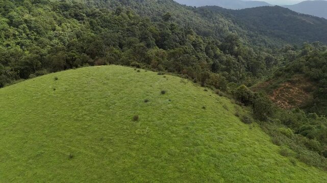Beautiful rolling hills of native grasses and trees during a drought with clouds in the sky
