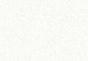 和紙テクスチャ・背景・卯の花色（少し色のついた白色、ライトベージュ）