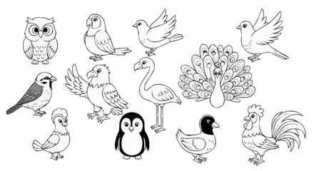 Collection of Diverse Bird Species Outlines for Coloring and Education.
