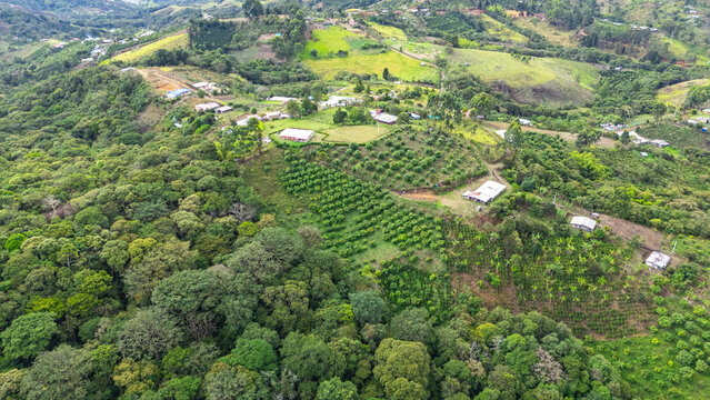 Stunning aerial view of vibrant landscapes in Popay&aacute;n, Cauca, Colombia, showcasing rich greenery and avocado farms.