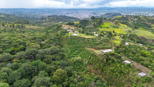 Stunning aerial view of lush green fields and hills in Popayán, Cauca, Colombia, showcasing the beauty of nature and agricultural landscapes.