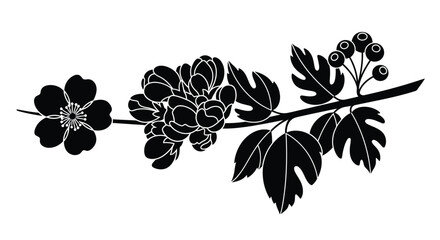 Elegant floral branch blossom silhouette with leaves and berries design