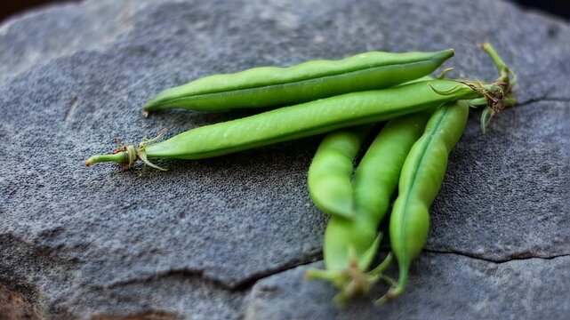 Fresh Green Peas Pods on Textured Stone Surface - Healthy Eating Concept