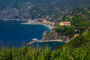 Beautiful view of vineyards and Monterosso, one of five ancient, picturesque villages that make up Cinque Terre on Italy's rugged Ligurian coast
