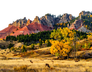 A vibrant autumnal scene of mountains, a meadow with deer grazing, and trees in colorful foliage. The landscape is lit by golden sunlight