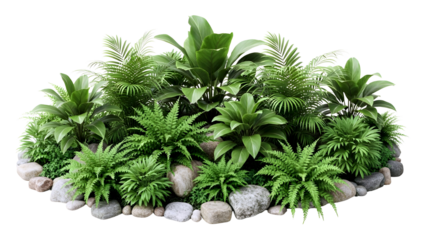 Lush green tropical plants and foliage arranged with natural stones isolated on transparent background