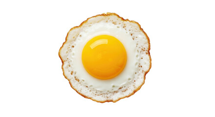 Simple black bird silhouette sitting in wild grass for nature logo or graphic design isolated PNG with Transparent Background