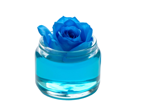 A vibrant blue rose rests inside a clear glass jar filled with liquid. The background is black, emphasizing the flower