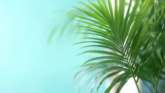 Fresh green palm leaf against soft blue backdrop with sunlight and copy space