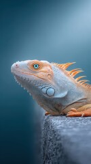 Fototapeta premium Photorealistic close-up vertical shot of an iguana's face, partially hidden behind a stone ledge, showing one icy blue eye and top of head with ears peeking over the edge. A diagonal beam of light