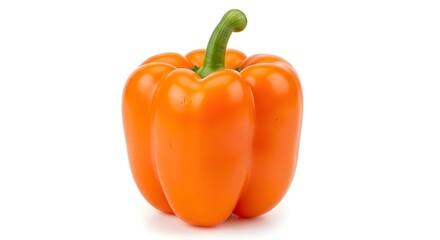 Delicious pizza with beef, peppers, mozzarella, and basil on a plate