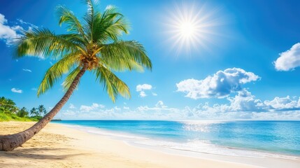 Palm tree leans over a quiet beach under radiant sunlight, inviting a moment of vacation escape and rest