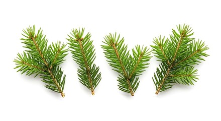 Fresh green spruce fir branches, conifer needles, and natural evergreen twigs scattered on a clean, isolated white background, perfect for winter holiday and nature-themed designs.