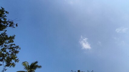 Calm blue sky with wispy clouds and lush green trees for a peaceful, serene background