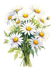 Watercolor illustration of a cheerful bouquet of white daisies
